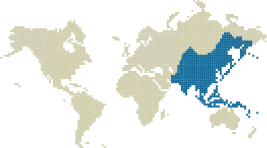 Carte Asie 2013